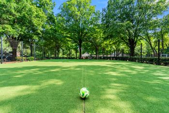 Soccer field